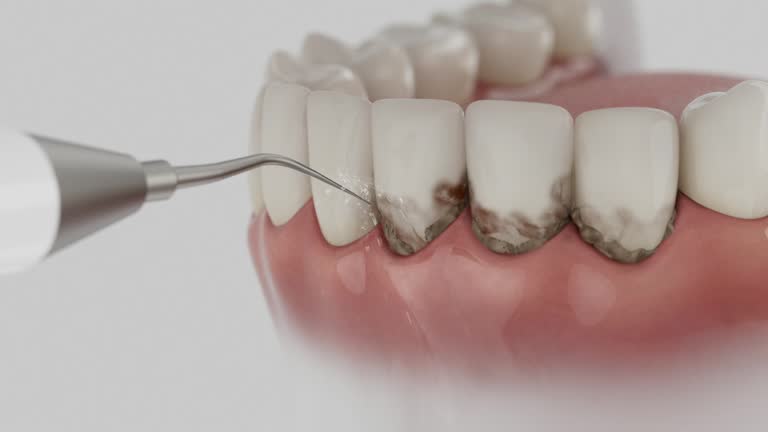 Reliable Dental contractor in Connerton, FL by Dentist Open Now